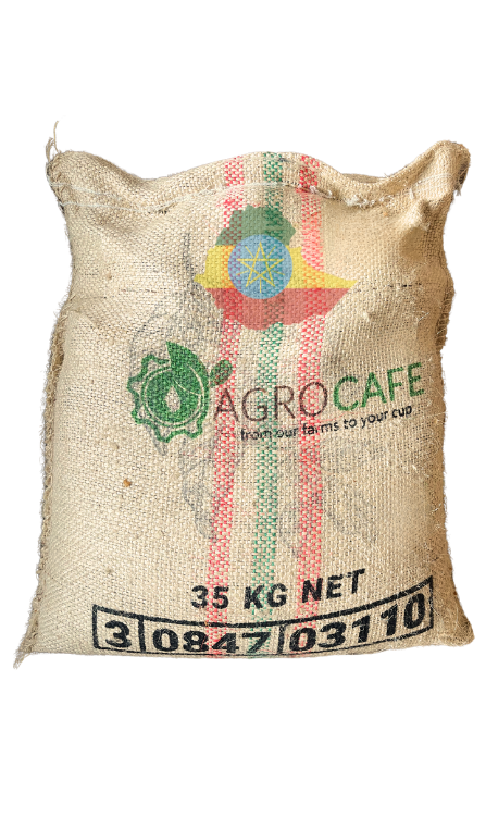 קפה ירוק אתיופיה סידמו
